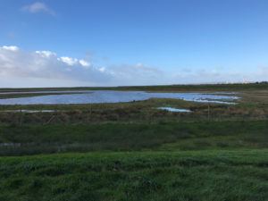 Goldcliff Lagoon nr Newport Photo Heatheronhertravels.com