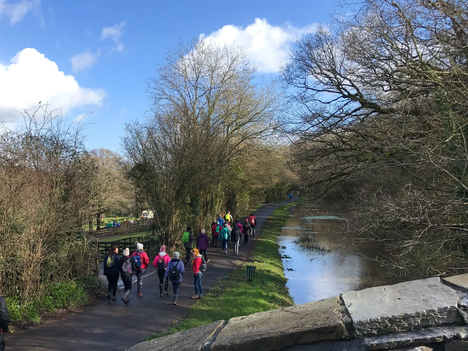 Cardiff – Lonely Birder