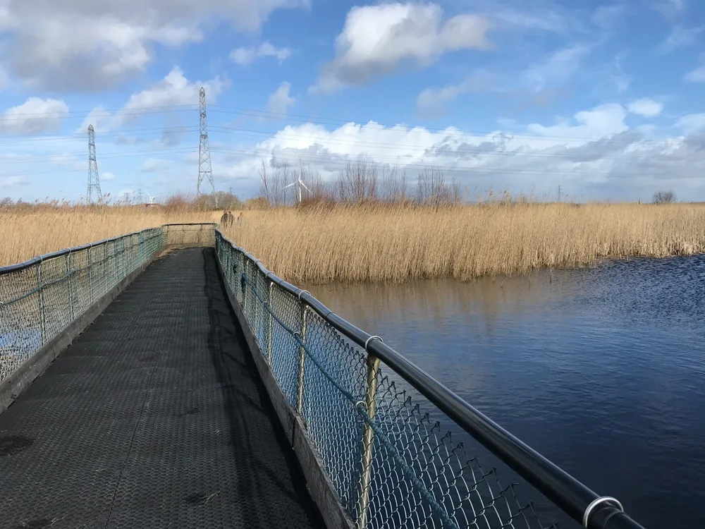 Newport Wetlands Photo Heatheronhertravels.com