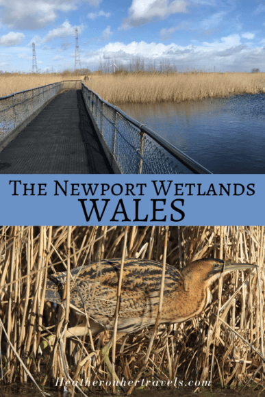 Newport Wetlands in Wales Photo Heatheronhertravels.com