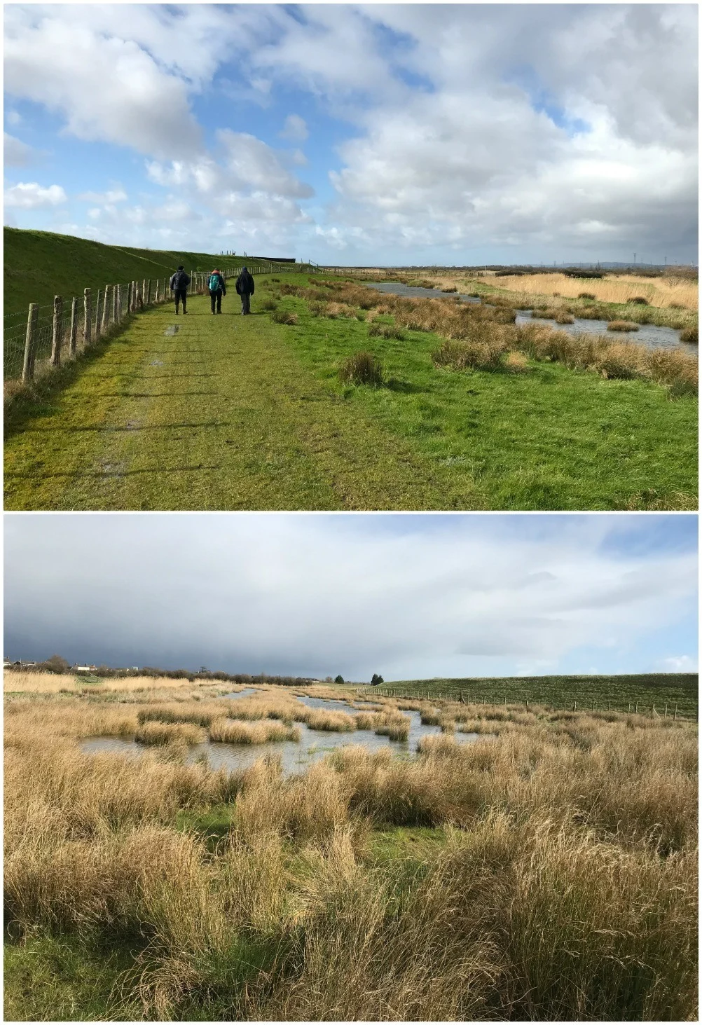 Newport Wetlands Wales Photo Heatheronhertravels.com