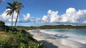 Zoom backdrop - Half Moon Bay Antigua Photo Heatheronhertravels.com