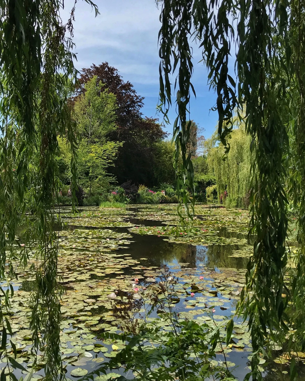 Monet Water Lilies in Giverny Photo Heatheronhertravels.com