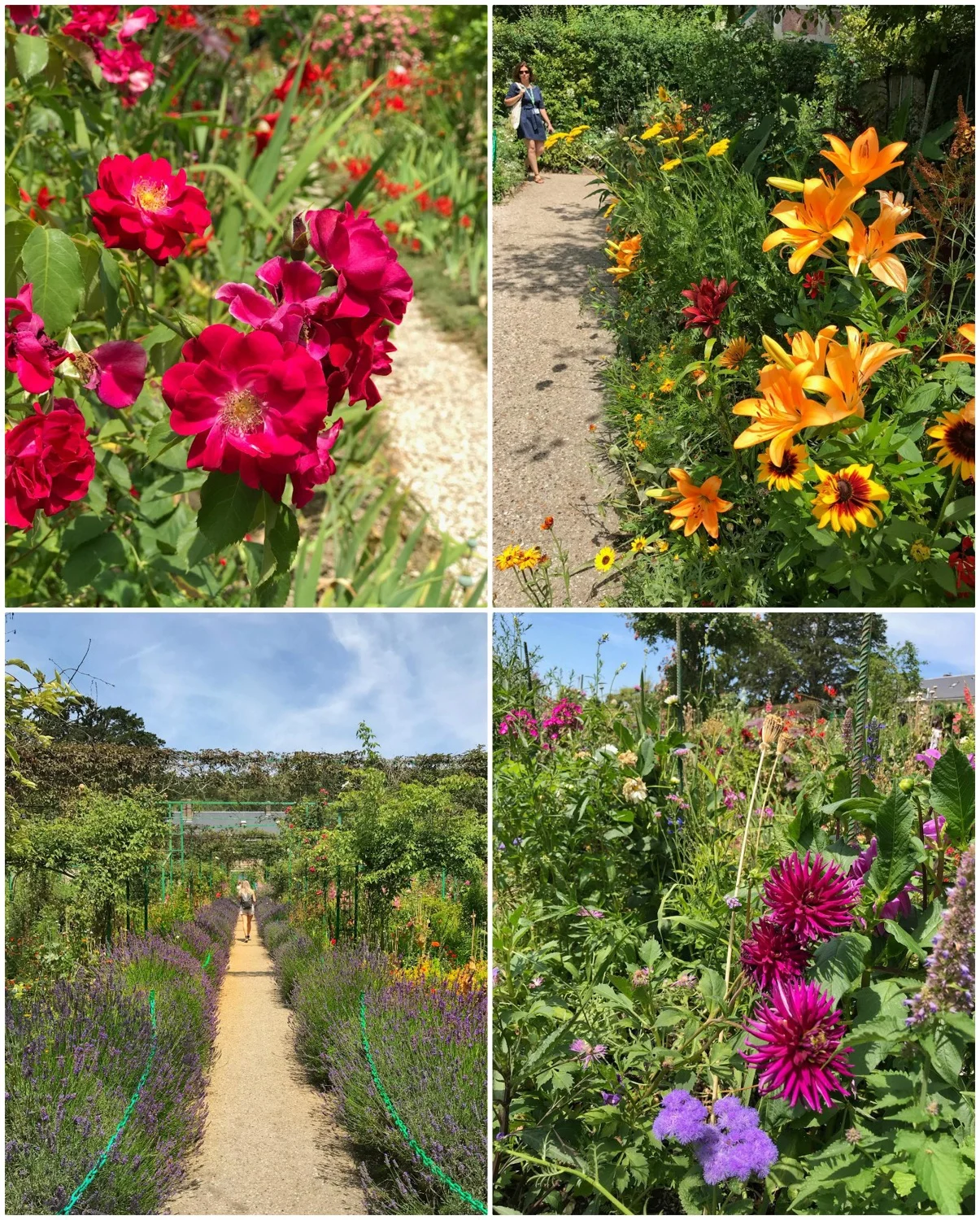 Claude Monet garden in Giverny Photo Heatheronhertravels.com