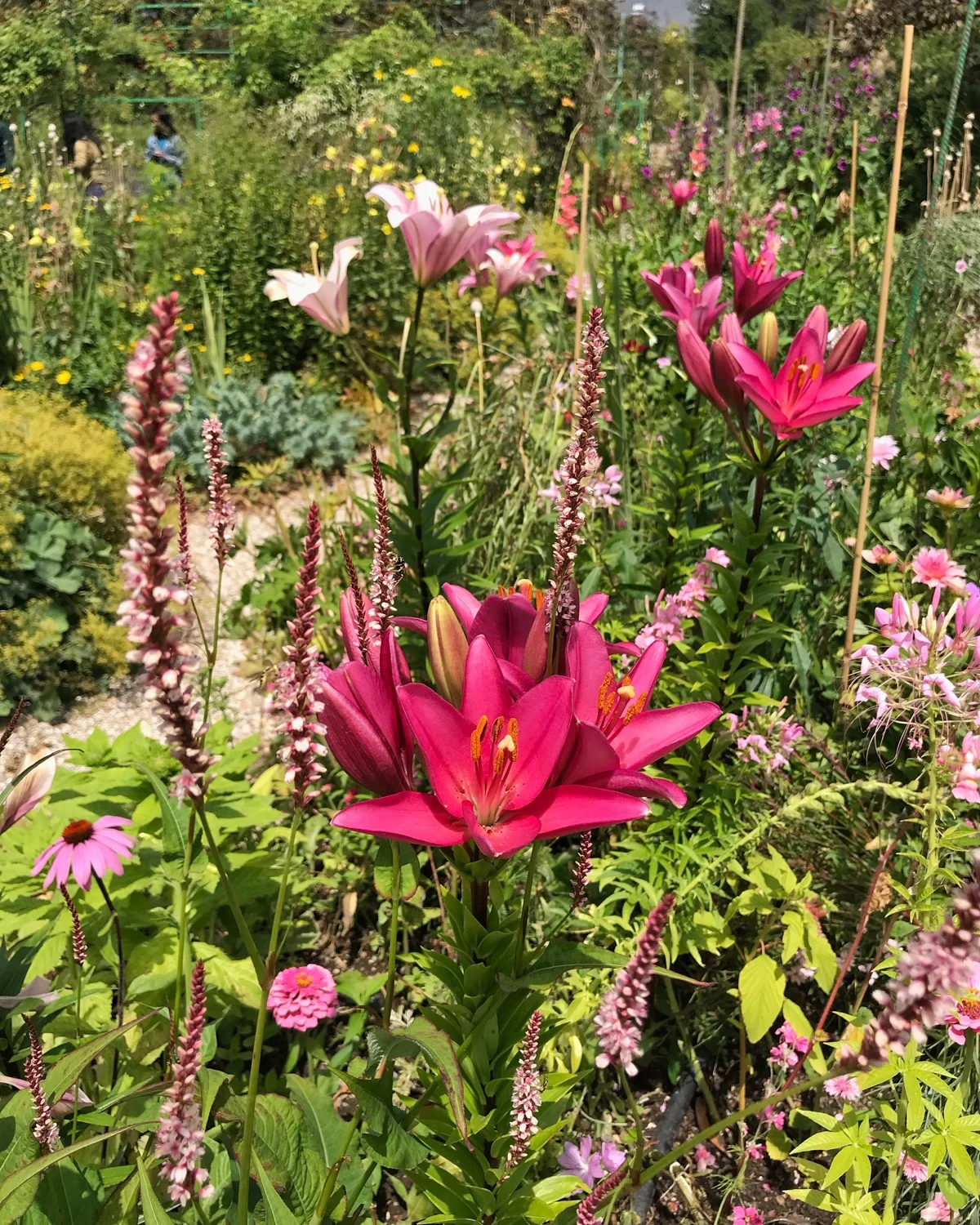 Monet garden in Giverny Photo Heatheronhertravels.com