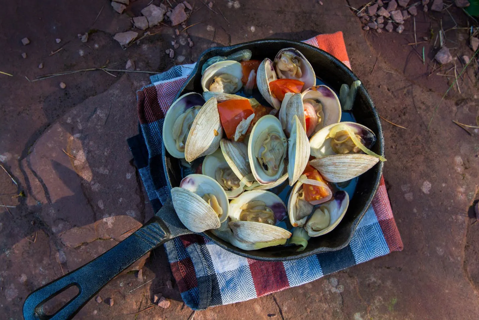 PEI Clams Photo Credit: ©Tourism PEI / Paul Baglole