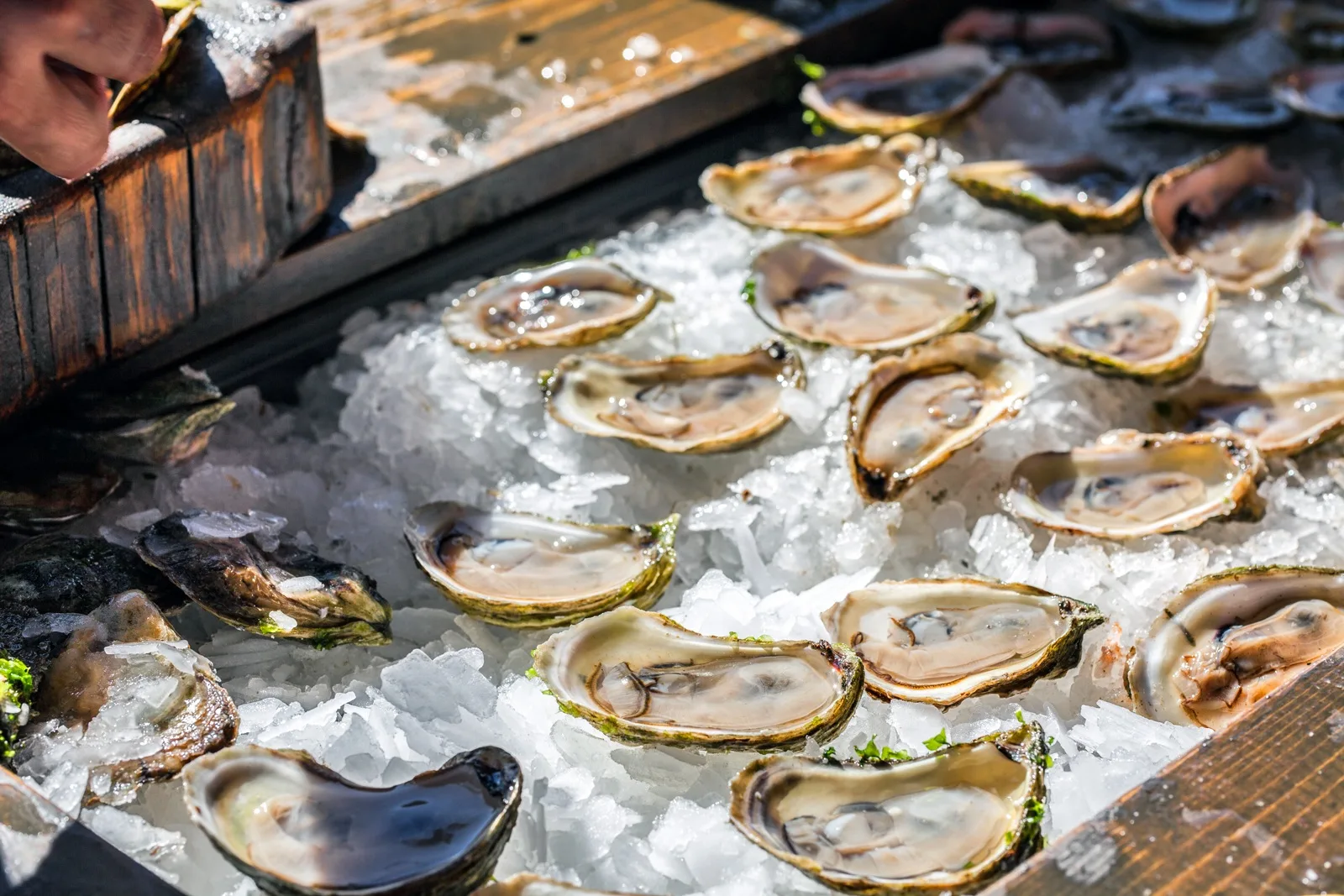 PEI Oysters Credit: :copyright:Tourism PEI / Stephen Harris