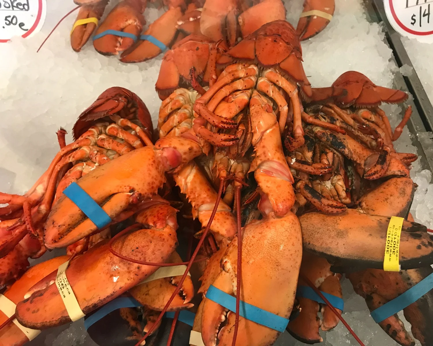 PEI Food - Lobsters Photo Heatheronhertravels.com