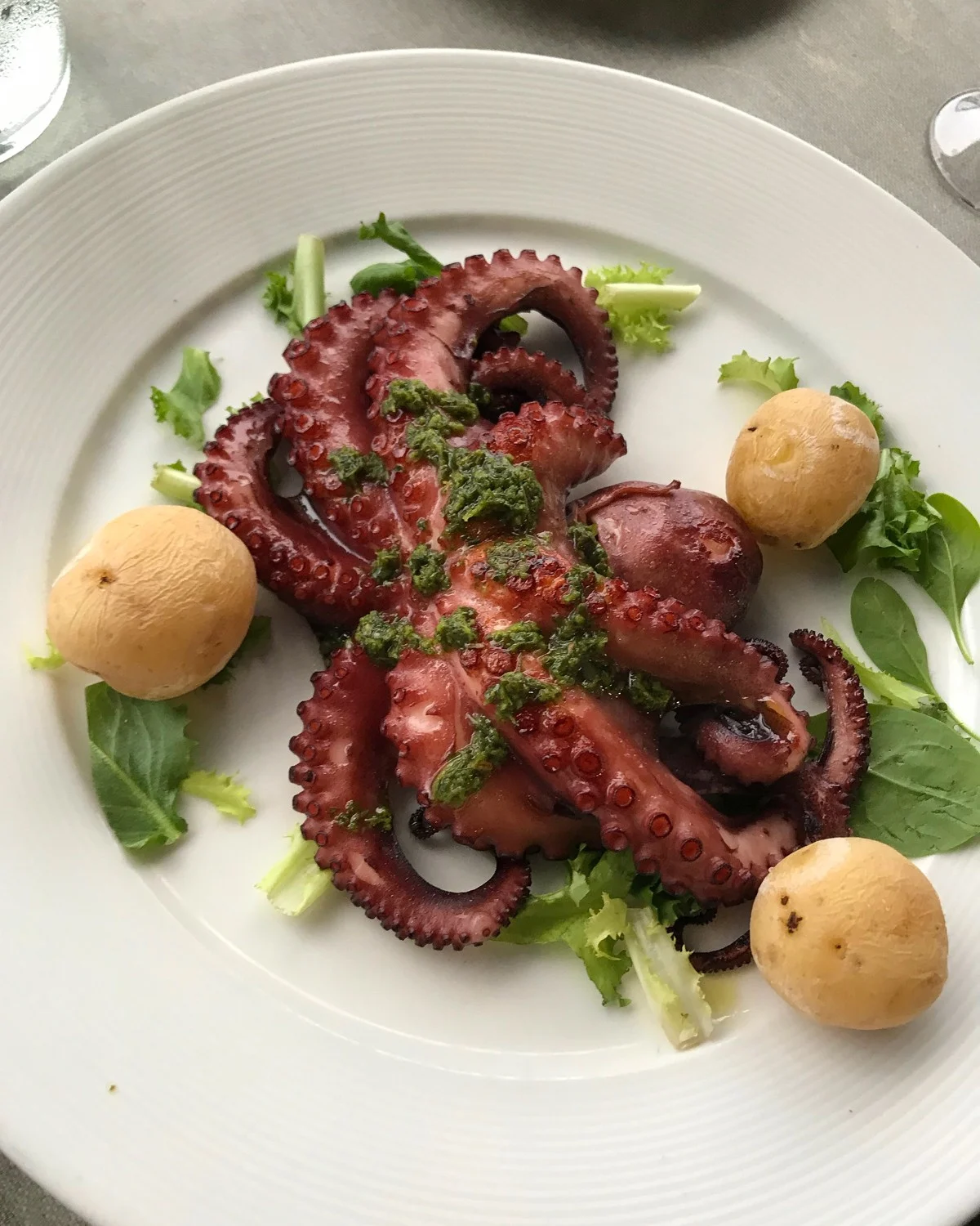 Grilled Octopus in Lanzarote Photo Heatheronhertravels.com