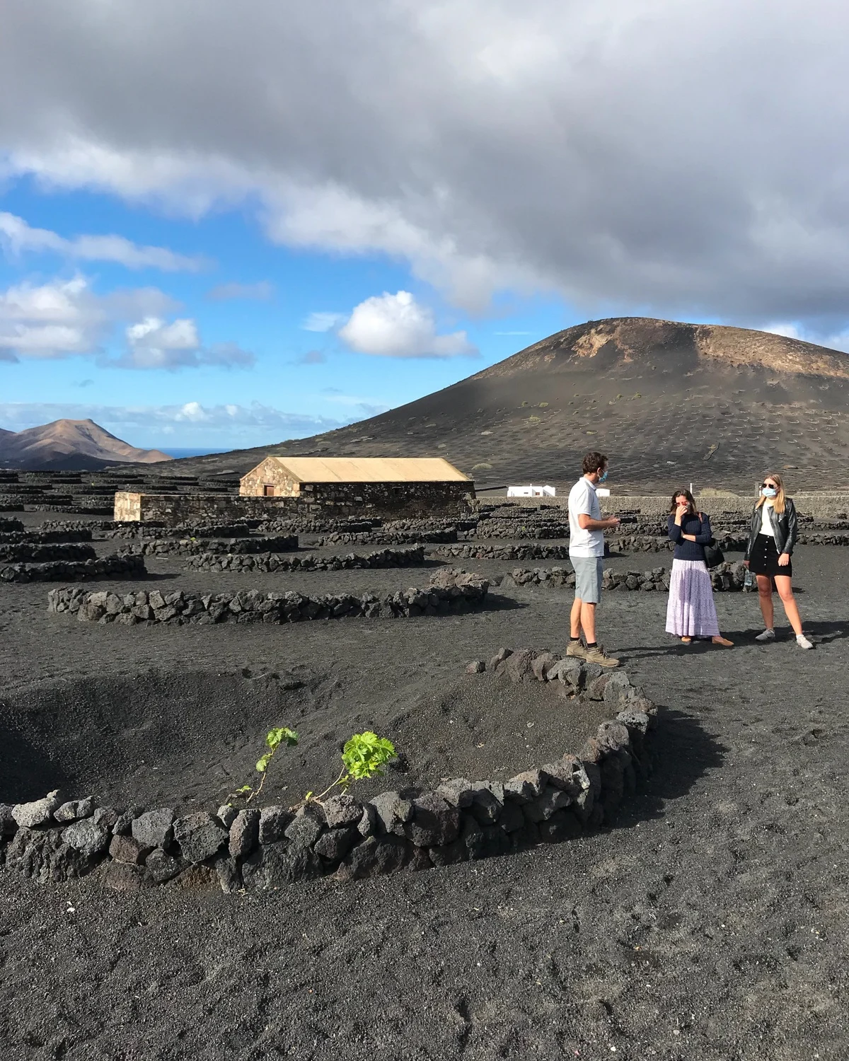 Wine tours Lanzarote 