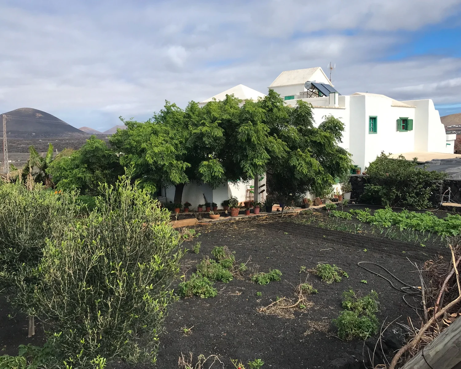 Vega Volcan Winery in Lanzarote Photo Heatheronhertravels.com