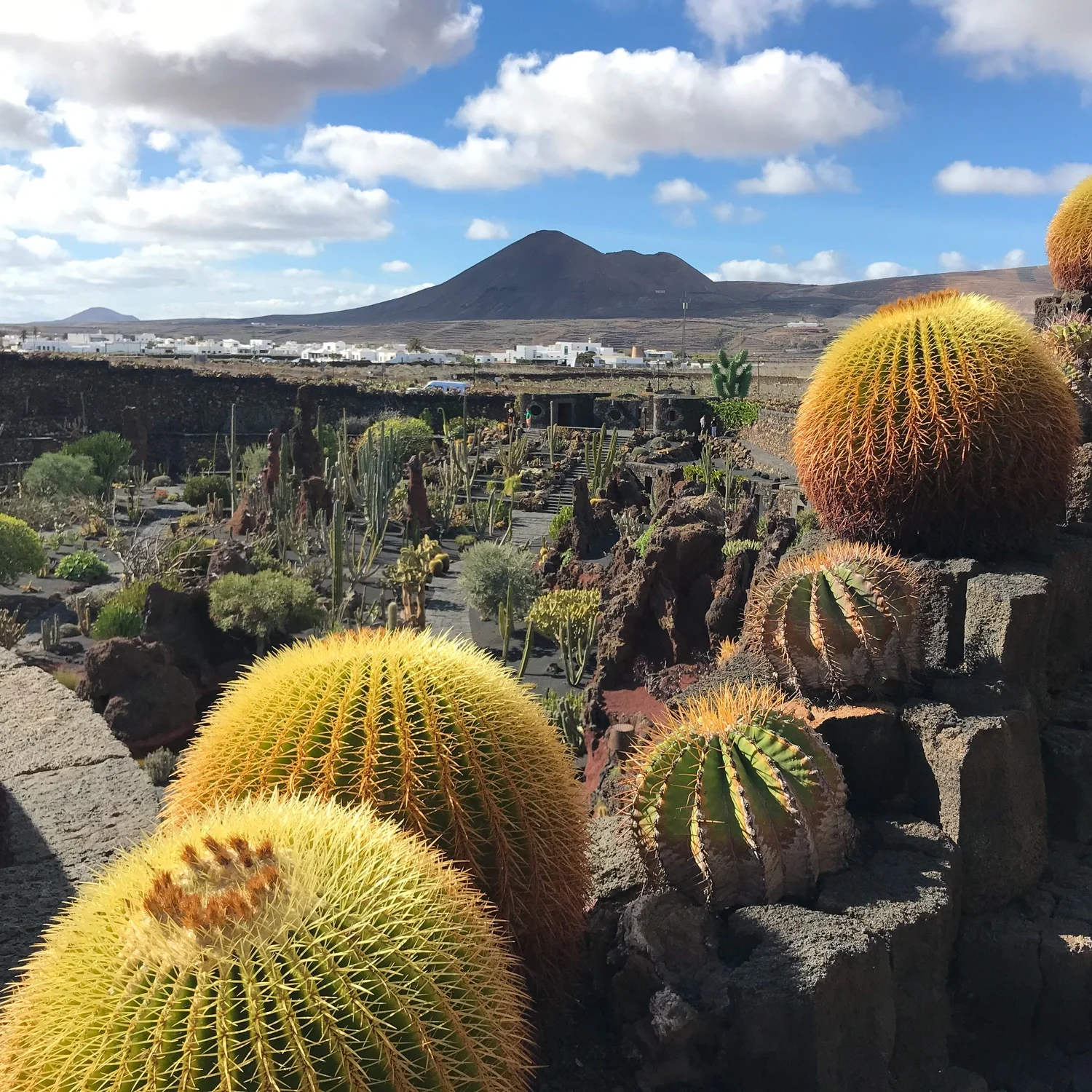 Jardin Cactus in Lanzarote Photo Heatheronhertravels.com