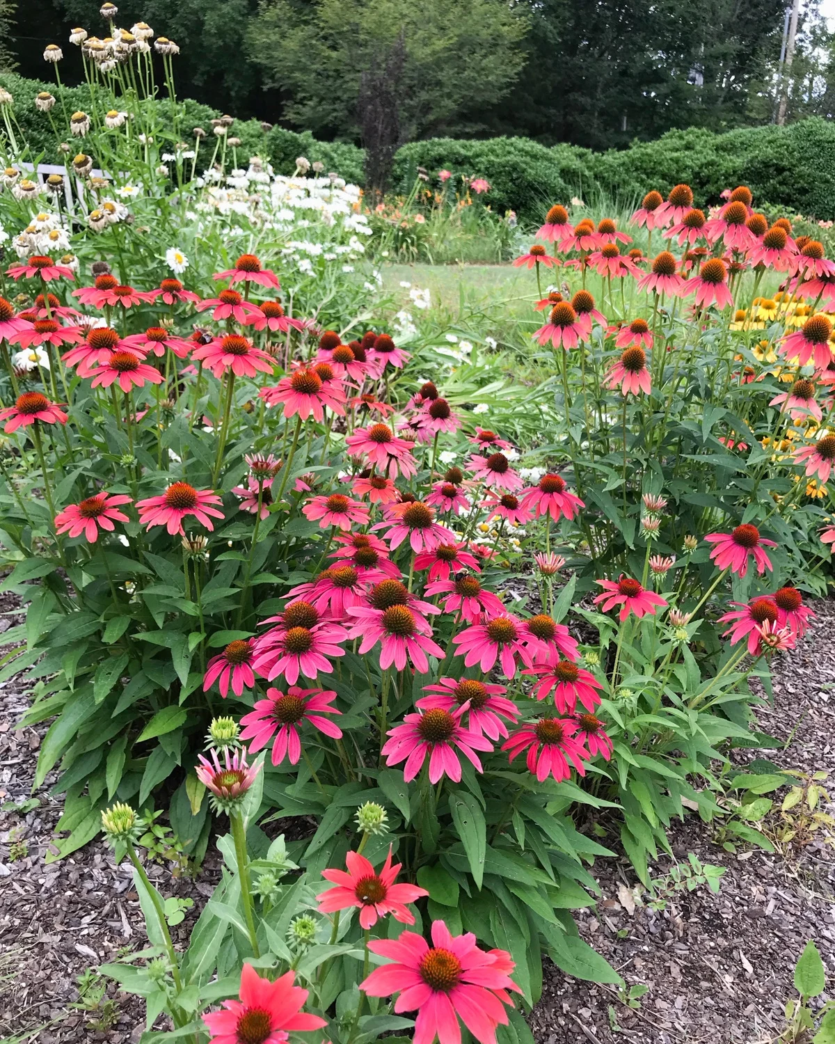 Huntsville Botanic Garden Alabama USA Photo Heatheronhertravels.com