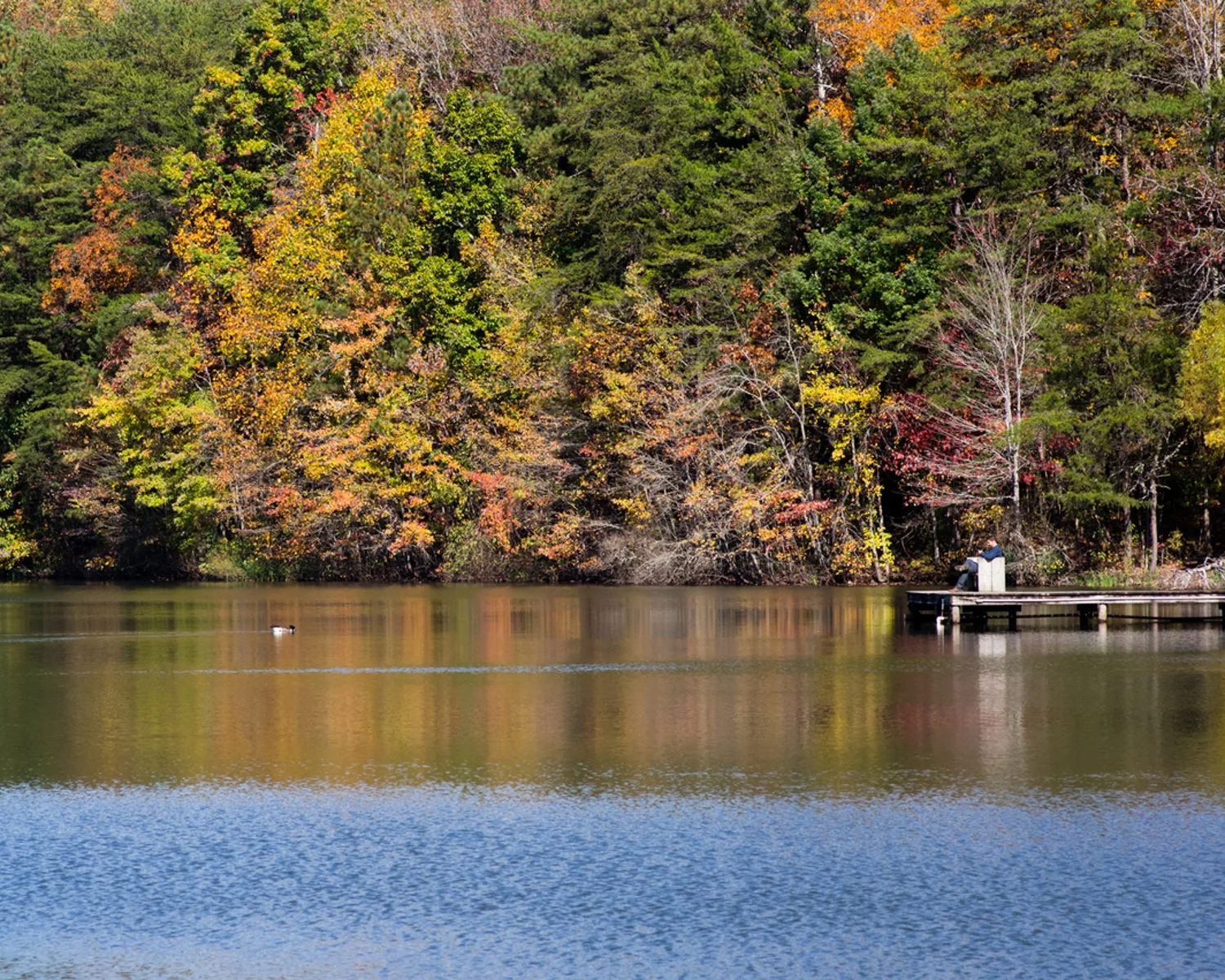 Madison County Nature Trail in Huntsville Alabama