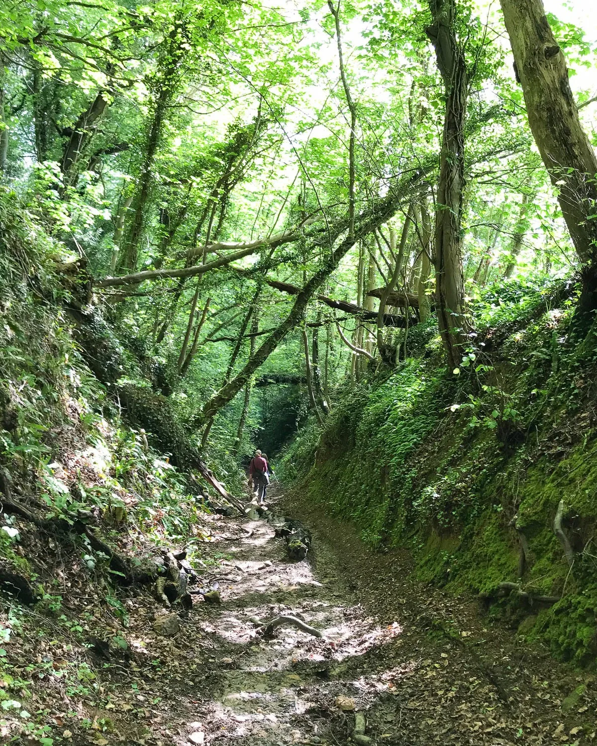 Drover's Pool Hawkesbury Upton - Cotswold Way Photo: Heatheronhertravels.com