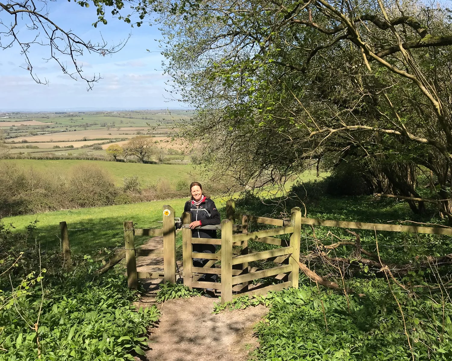 Dyrham Wood - Cotswold Way Day 2 Photo Heatheronhertravels.com