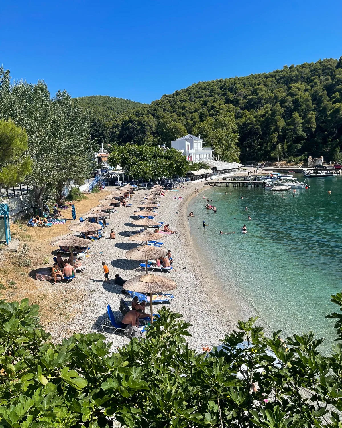 Agnontas Beach, Skopelos, Greece Photo Heatheronhertravels.com