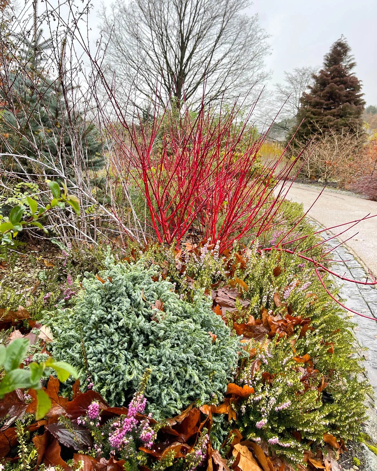 RHS Garden Harlow Carr Harrogate Photo Heatheronhertravels.com