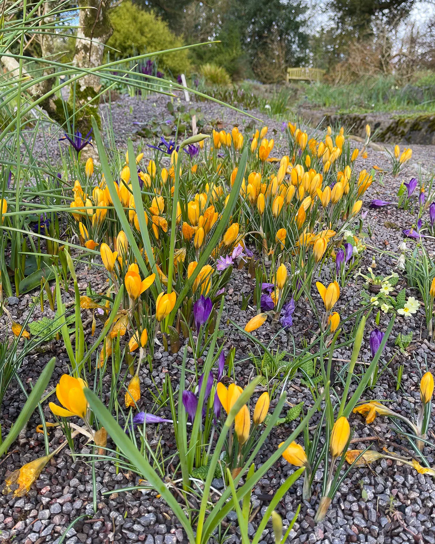 Aberglasney Gardens Carmarthenshire Photo Heatheronhertravels.com