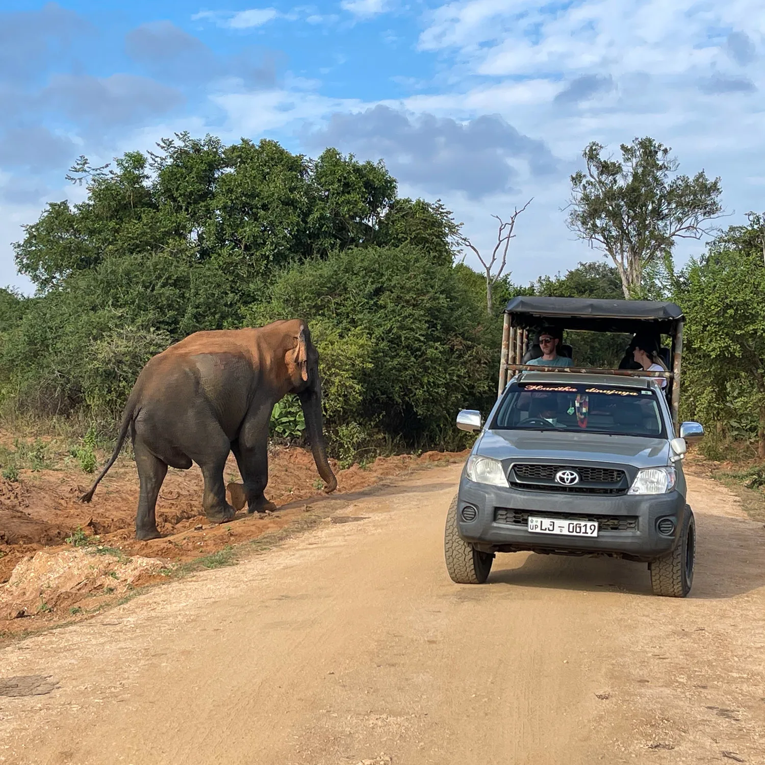 Safari in Sri Lanka Photo Heatheronhertravels.com