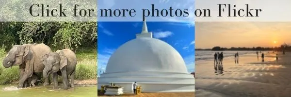 Sri Lanka Photo Album