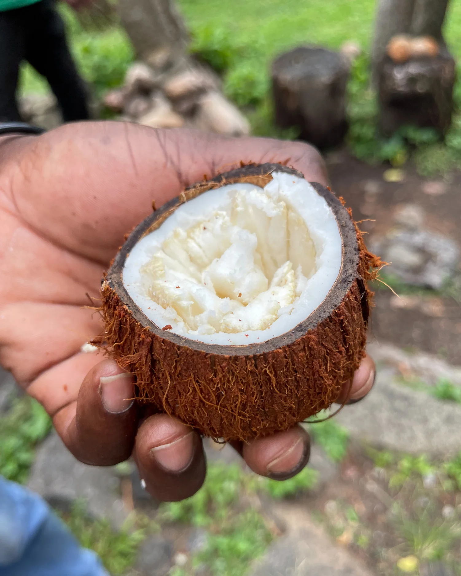 Coconut mashmallow Saint Lucia Photo Heatheronhertravels.com