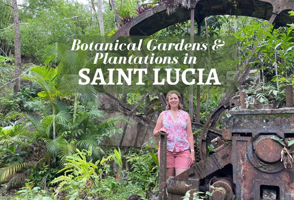 Botanical gardens and Plantations in St Lucia