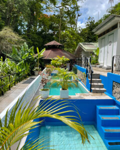 Mineral Baths at Diamond Falls Botanical Gardens St Lucia Photo Heatheronhertravels.com