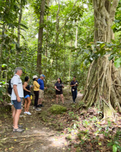 Rainforest Adventures Aerial Tram St Lucia Photo Heatheronhertravels.com