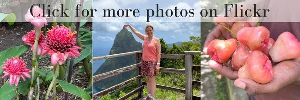 Saint Lucia Botanical Gardens Photo Album