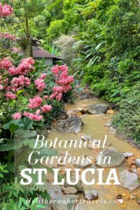 St Lucia Botanical gardens and plantations to visit