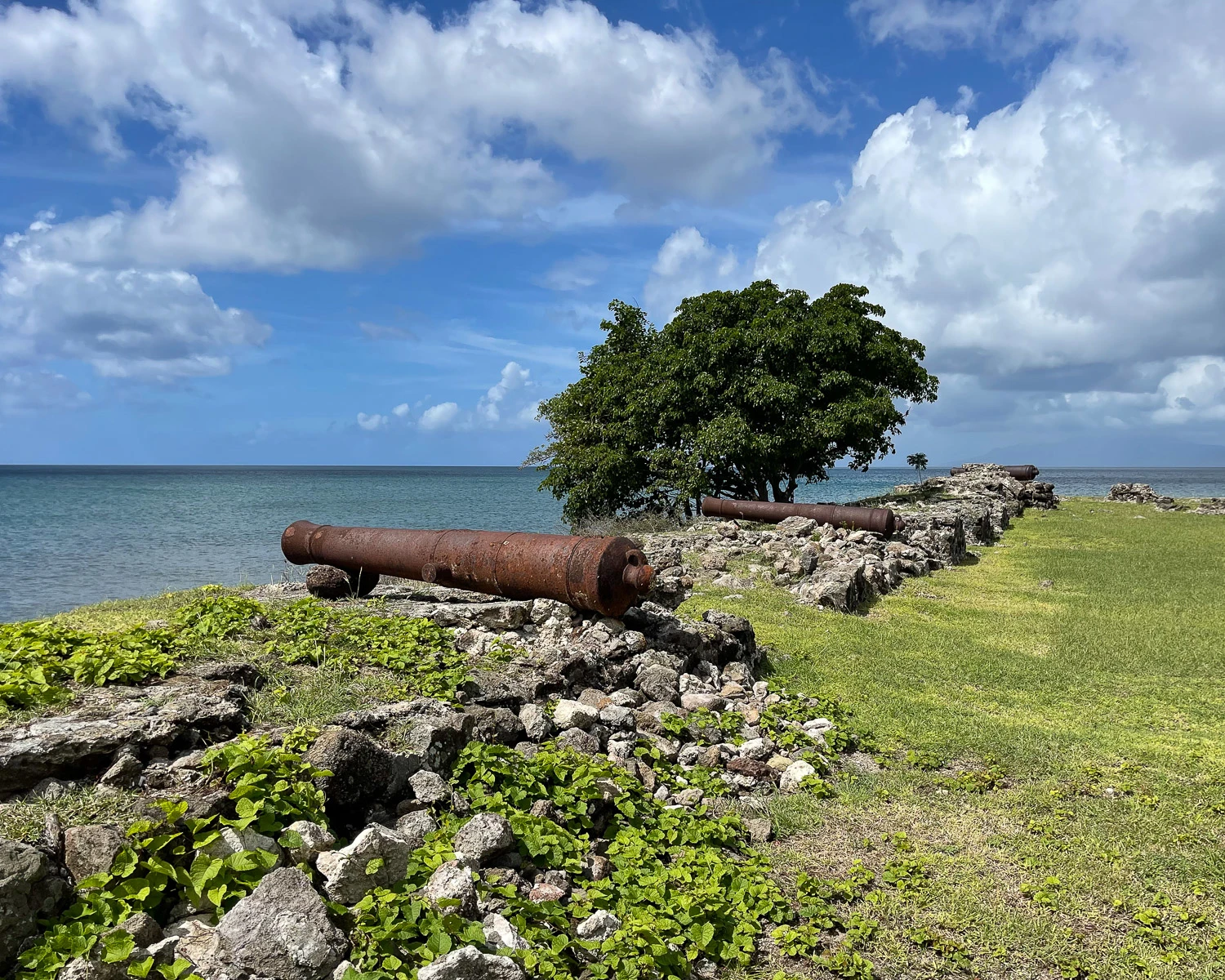 Fort Charles Nevis Photo Heatheronhertravels.com