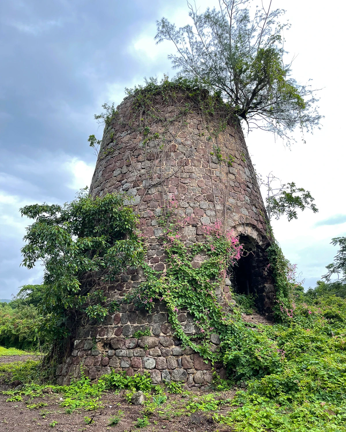 Hamilton Estate Nevis Photo Heatheronhertravels.com