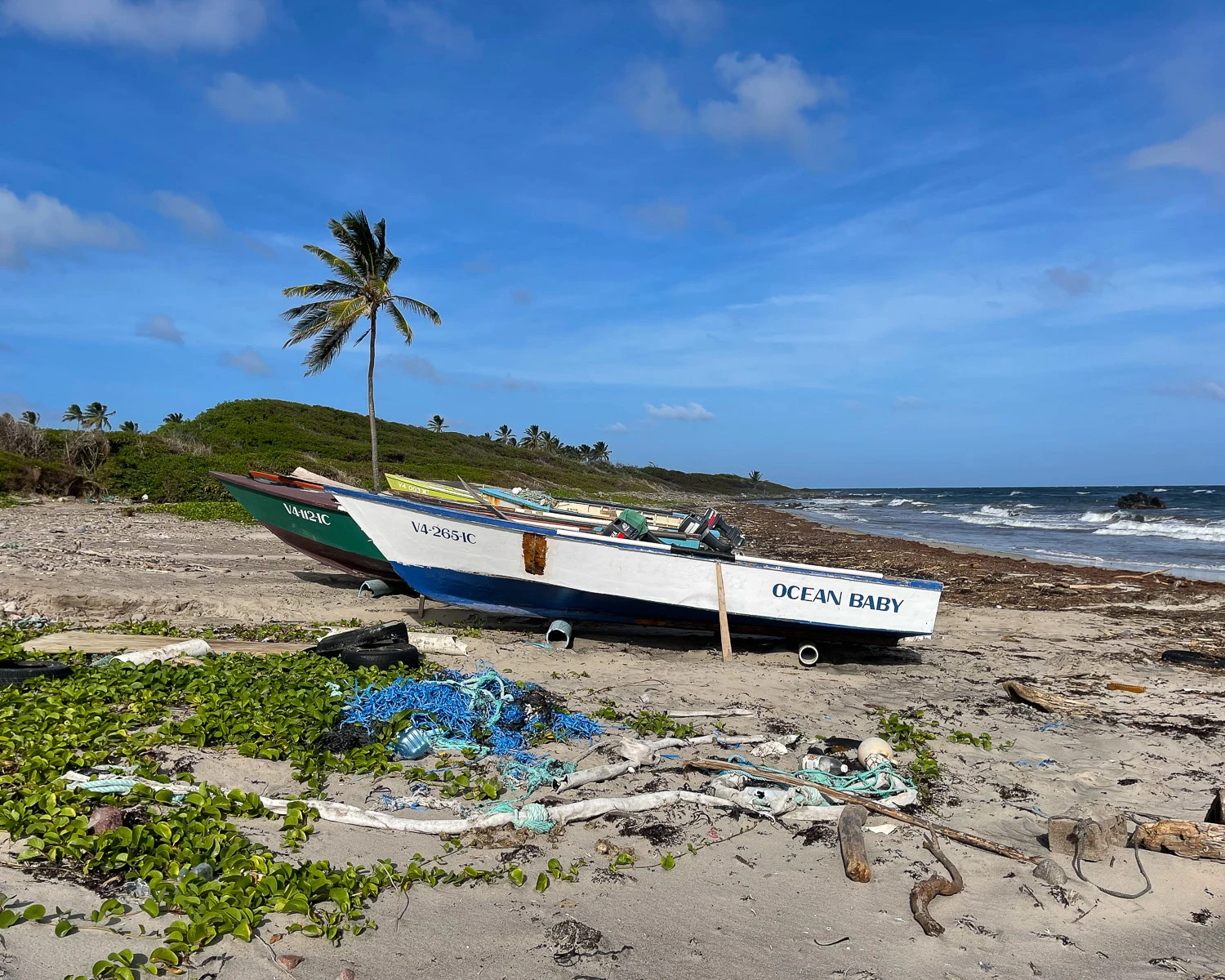 Indian Castle Beach Nevis Photo Heatheronhertravels.com