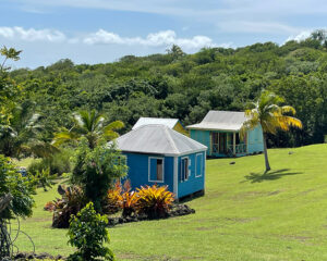 Nevisian Heritage Village Nevis Photo Heatheronhertravels.com