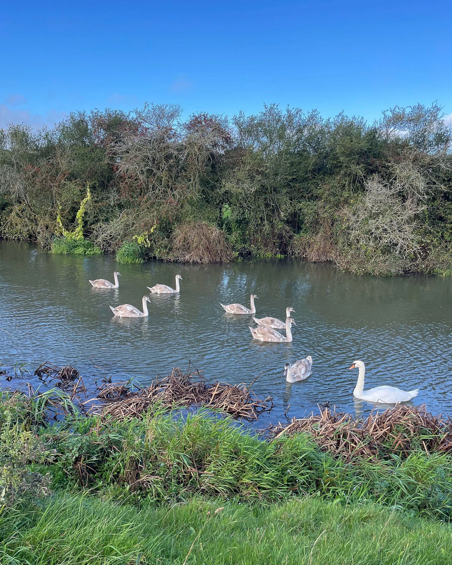 The Thames Path National Trail - Days 1-4 Source to Oxford