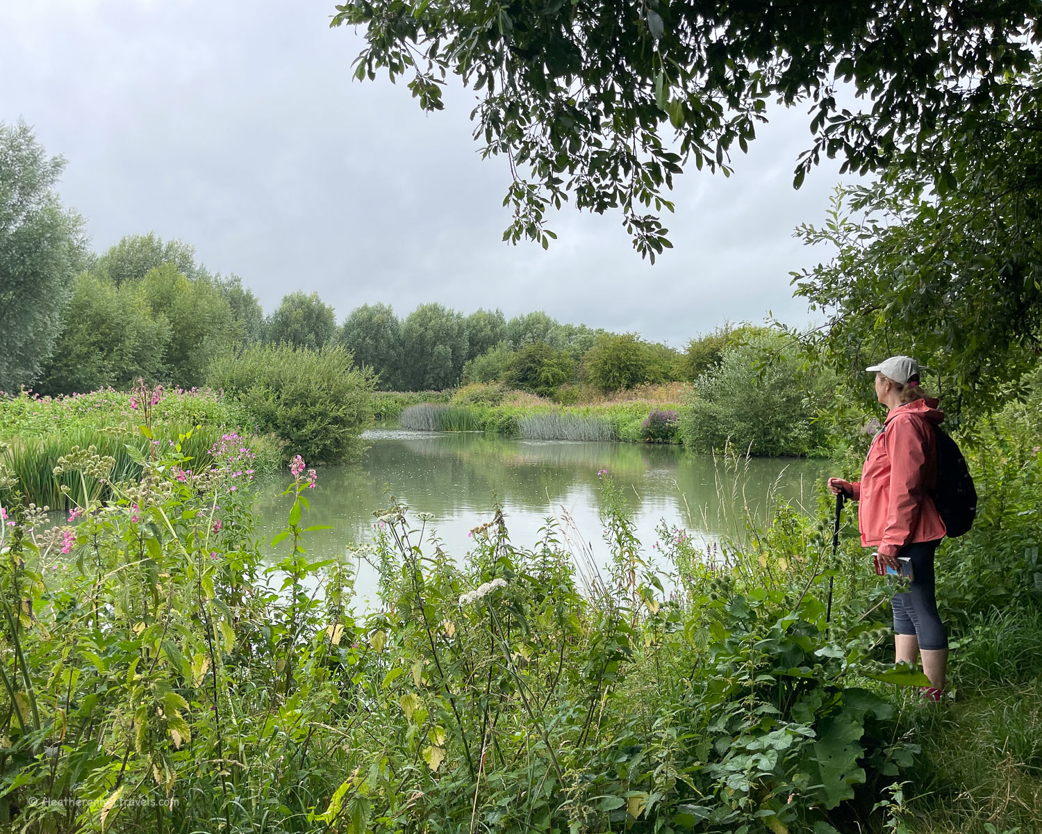 Duxford Old River wetlands on the Thames path national trail July 24 Photo Heatheronhertravels.com