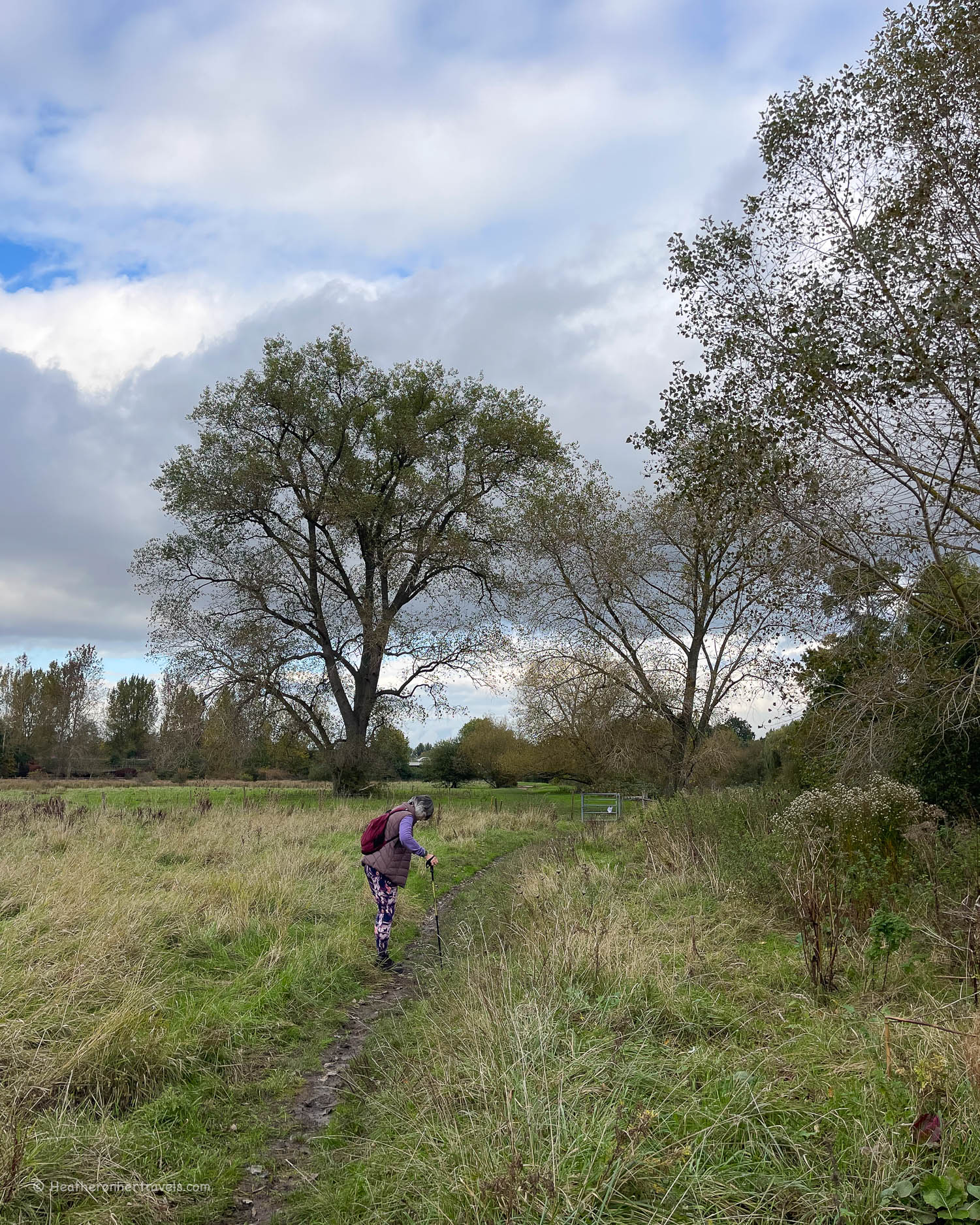 Near Wallingford Thames Path National Trail Photo Heatheronhertravels.com