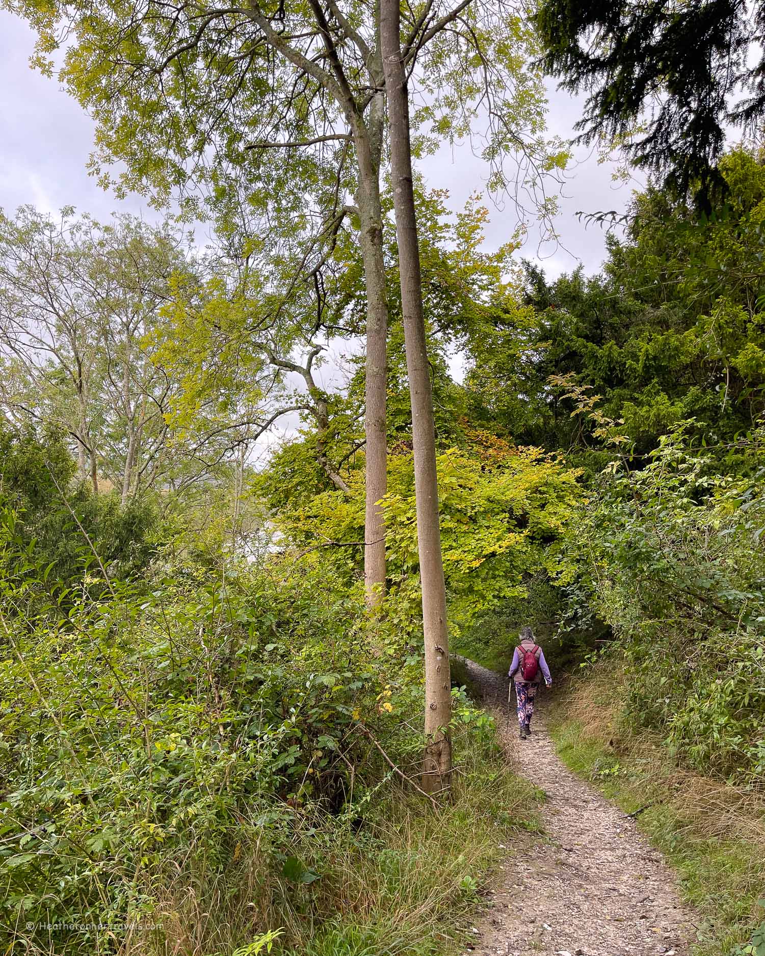 Thames Path National Trail Pangbourne to Goring Photo Heatheronhertravels.com