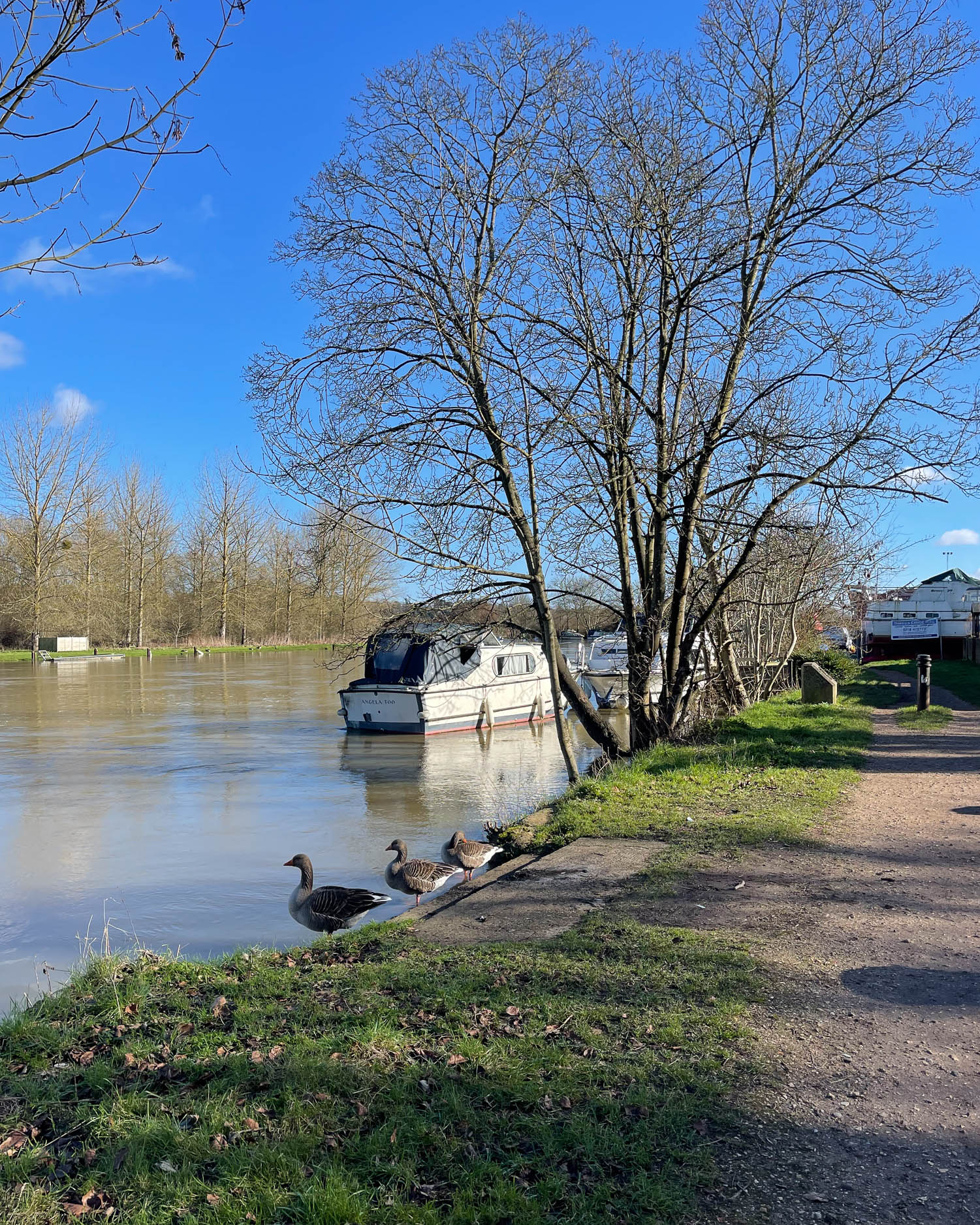 Tilehurst - Thames Path Photo Heatheronhertravels.com