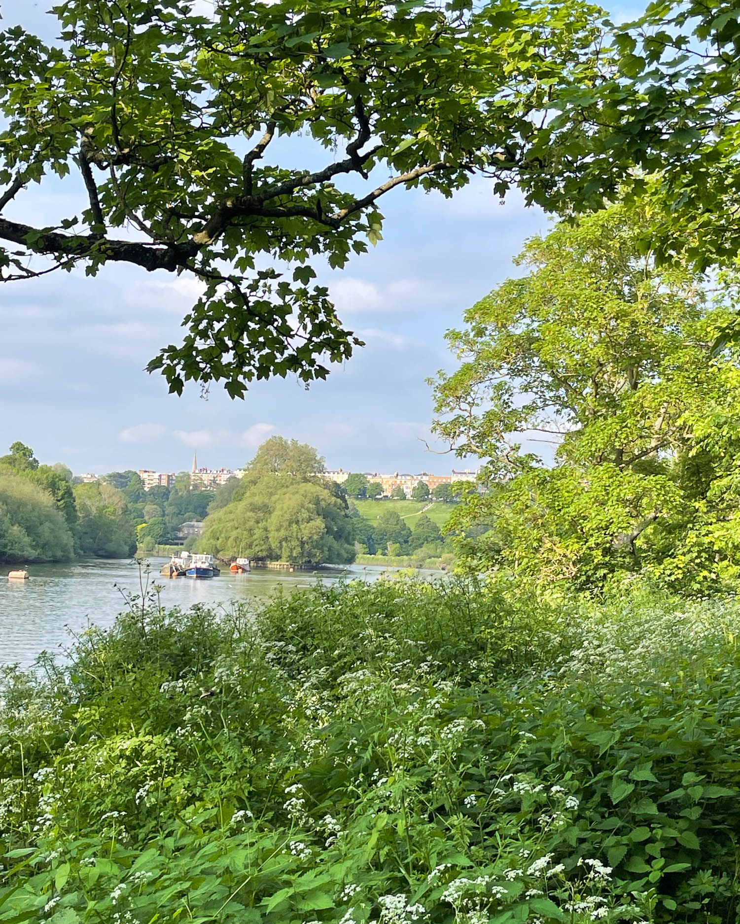 Views towards Richmond Hill - Thames Path National Trail Photo Heatheronhertravels.com