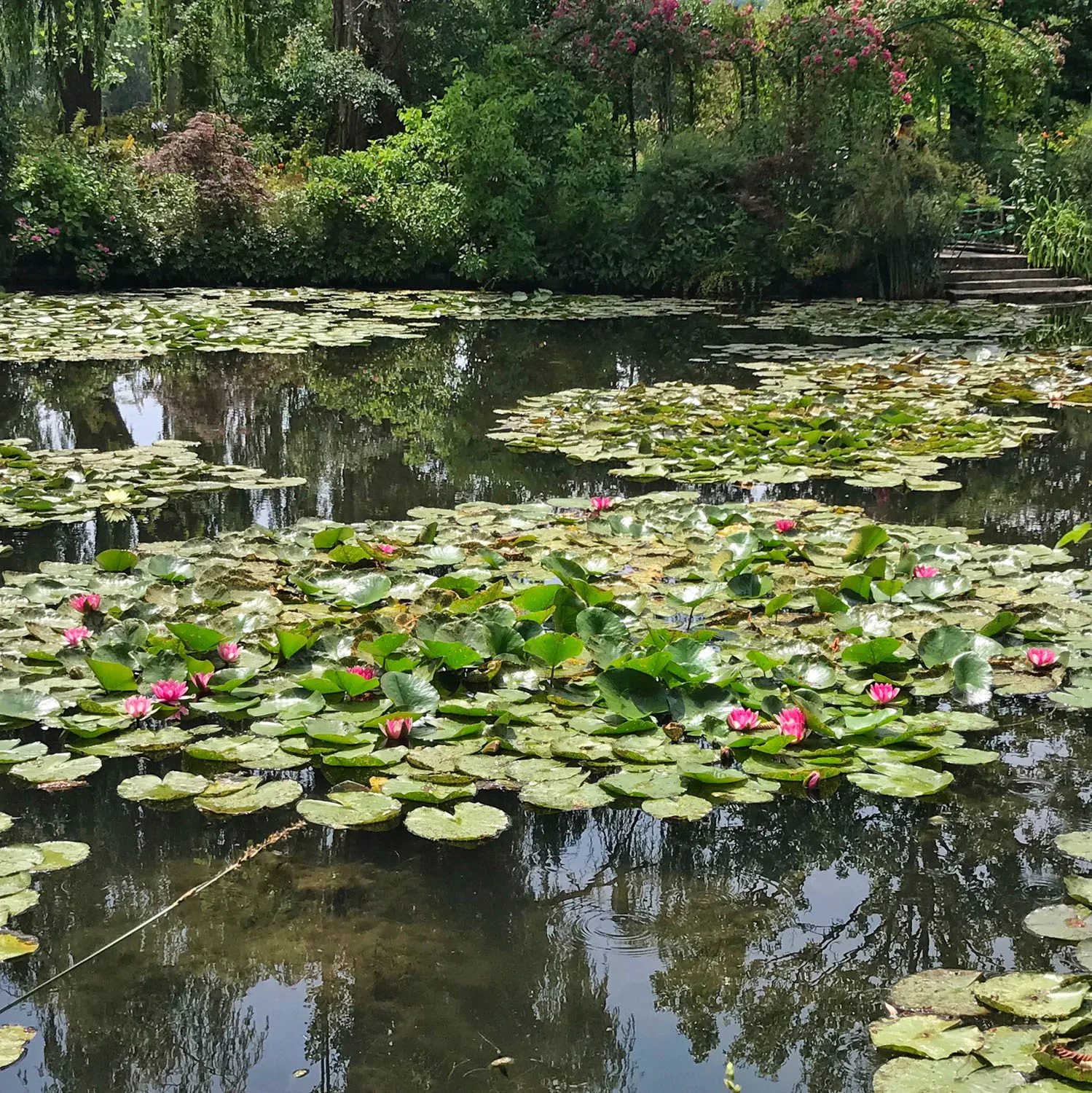 Monet Waterlilies in Giverny Photo Heatheronhertravels.com