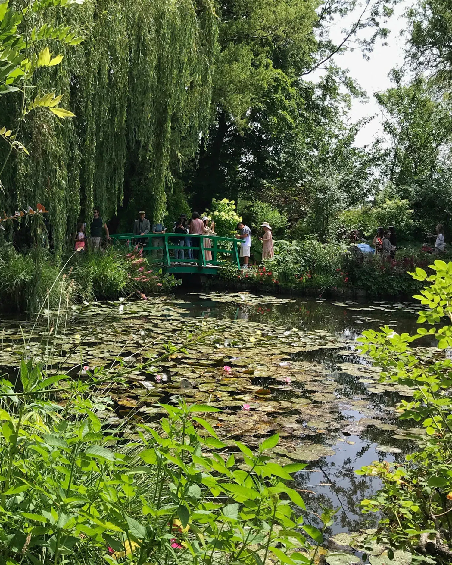 Monet Waterlilies in Giverny Photo Heatheronhertravels.com