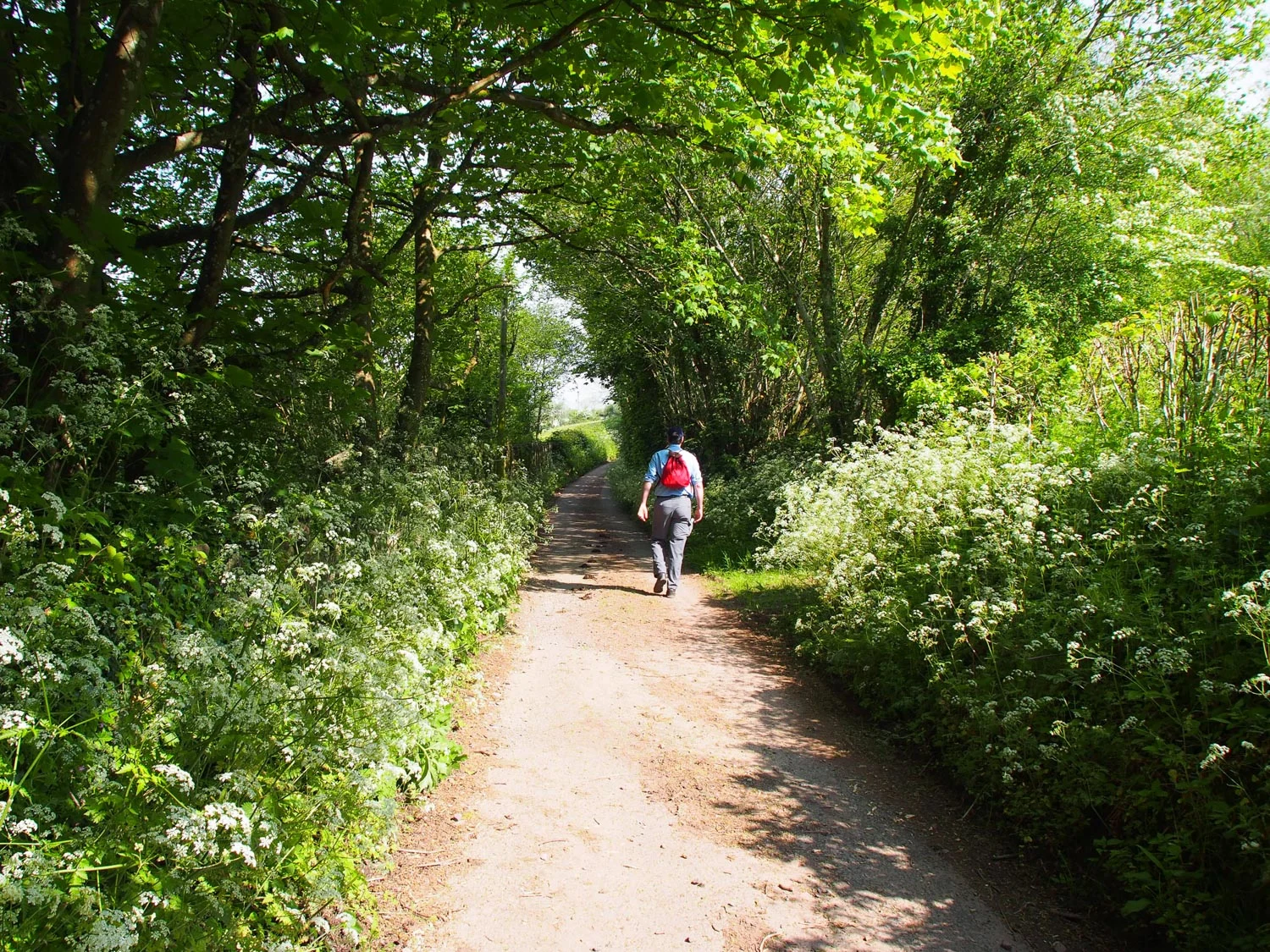 Walk in Laugharne, Wales Photo Heatheronhertravels.com