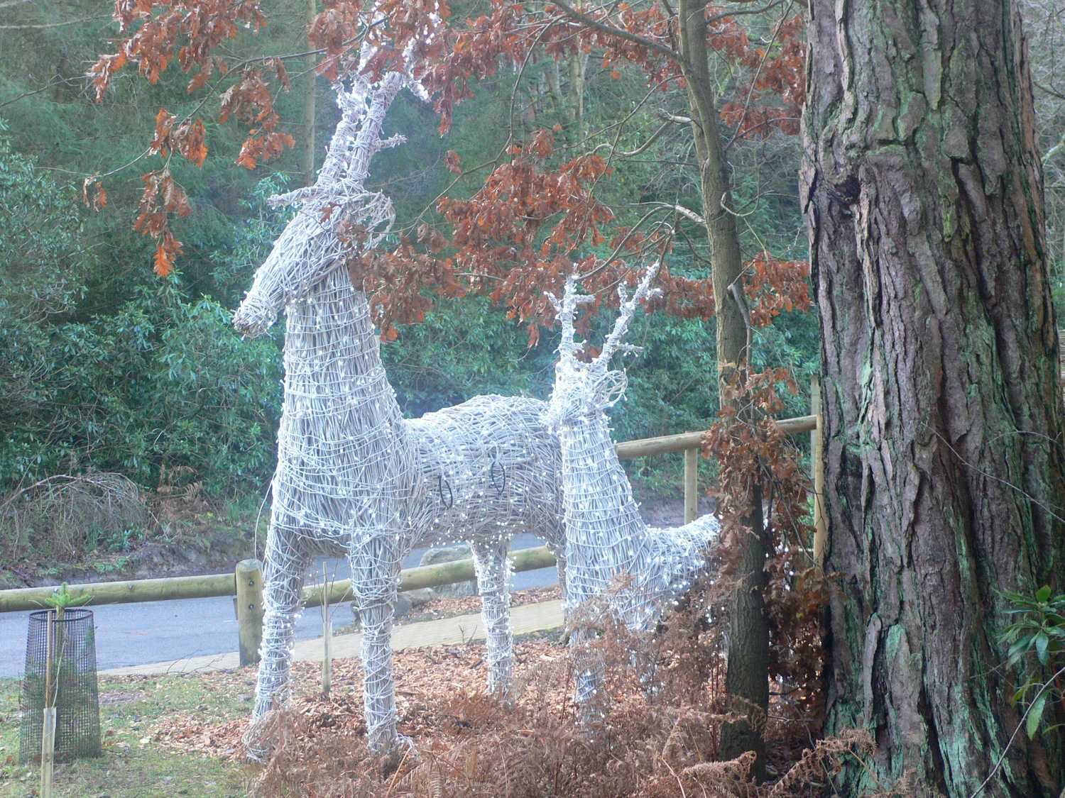 Christmas deer at Centerparcs Longleat