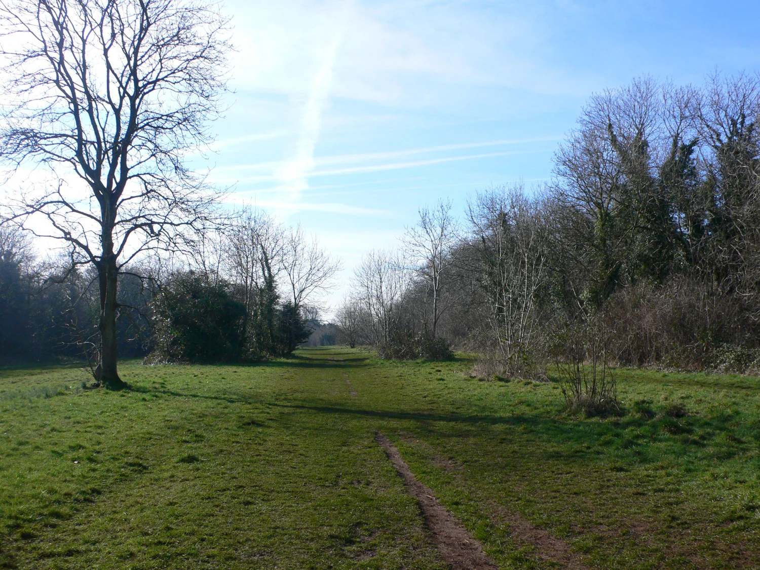 Kings Weston ride at Blaise castle park