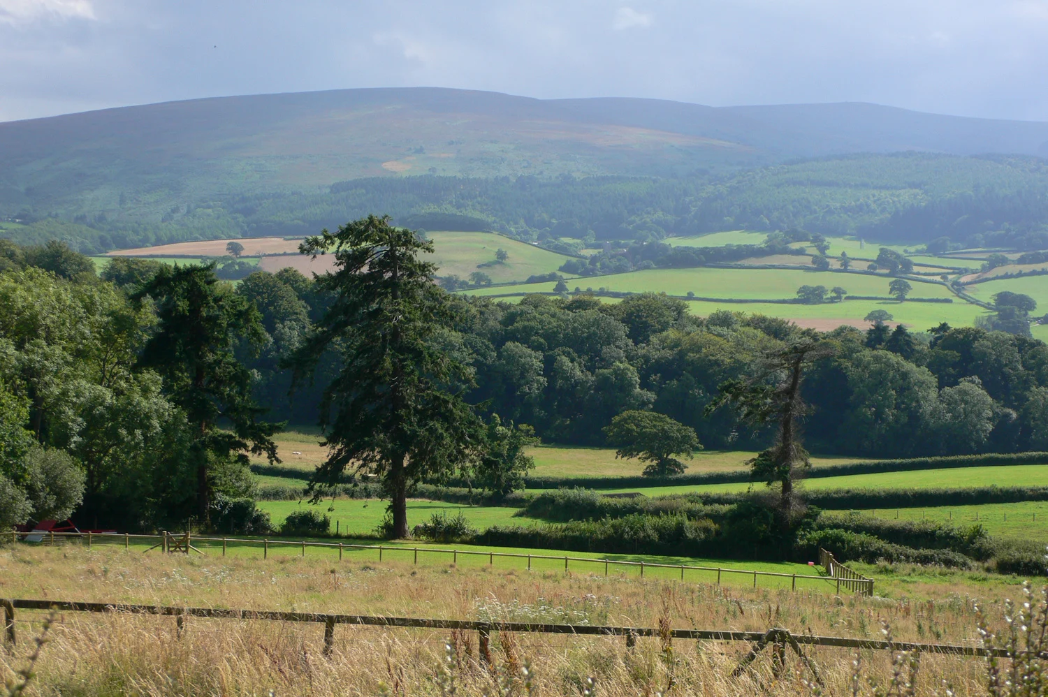 View from Selworthy Devon