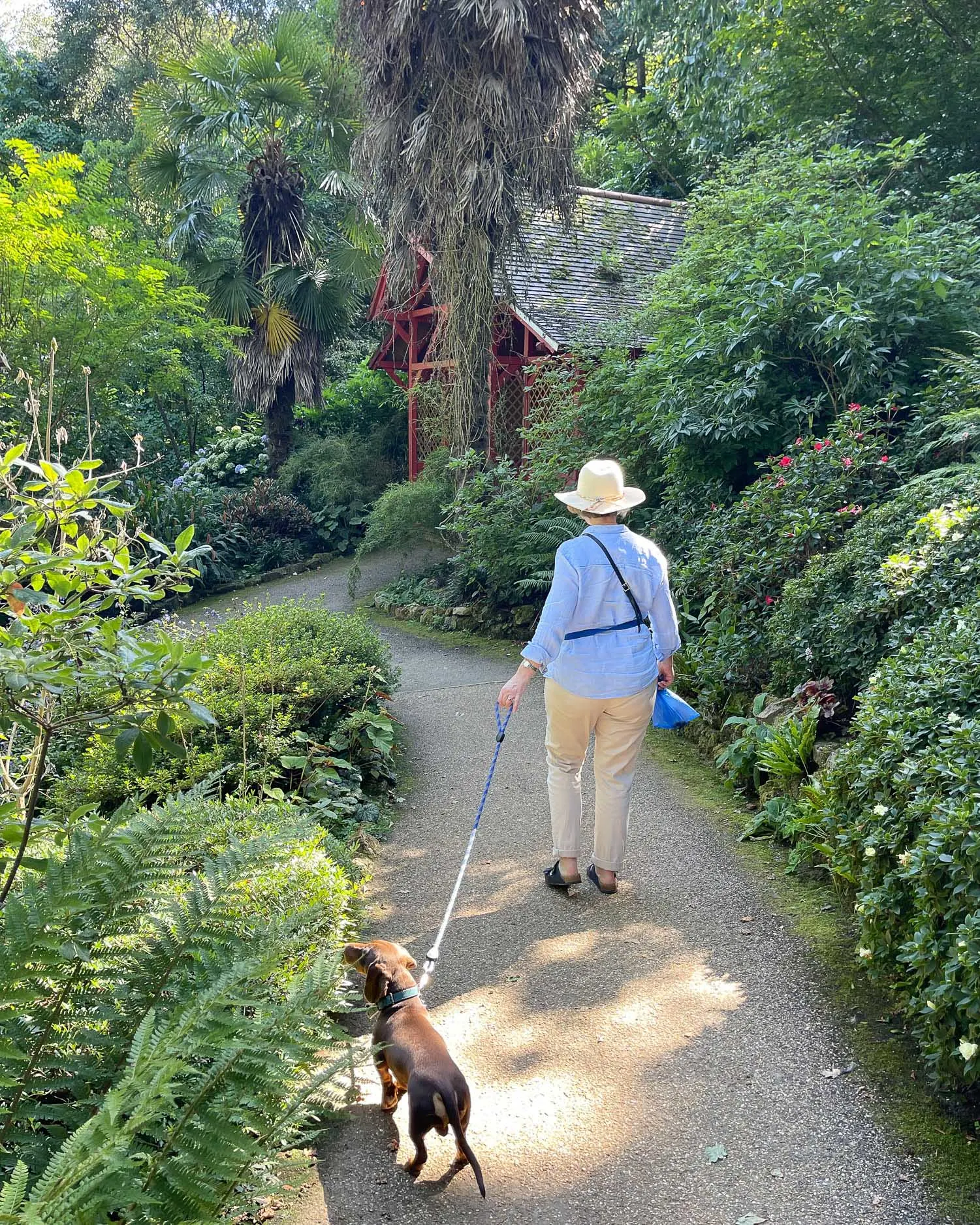 Abbotsbury Sub tropical gardens Dorset Photo Heatheronhertravels.com