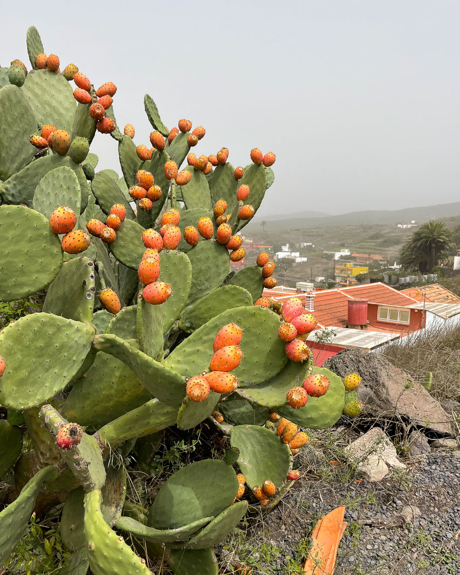 Above El Cercado La Gomera Photo Heatheronhertravels.com