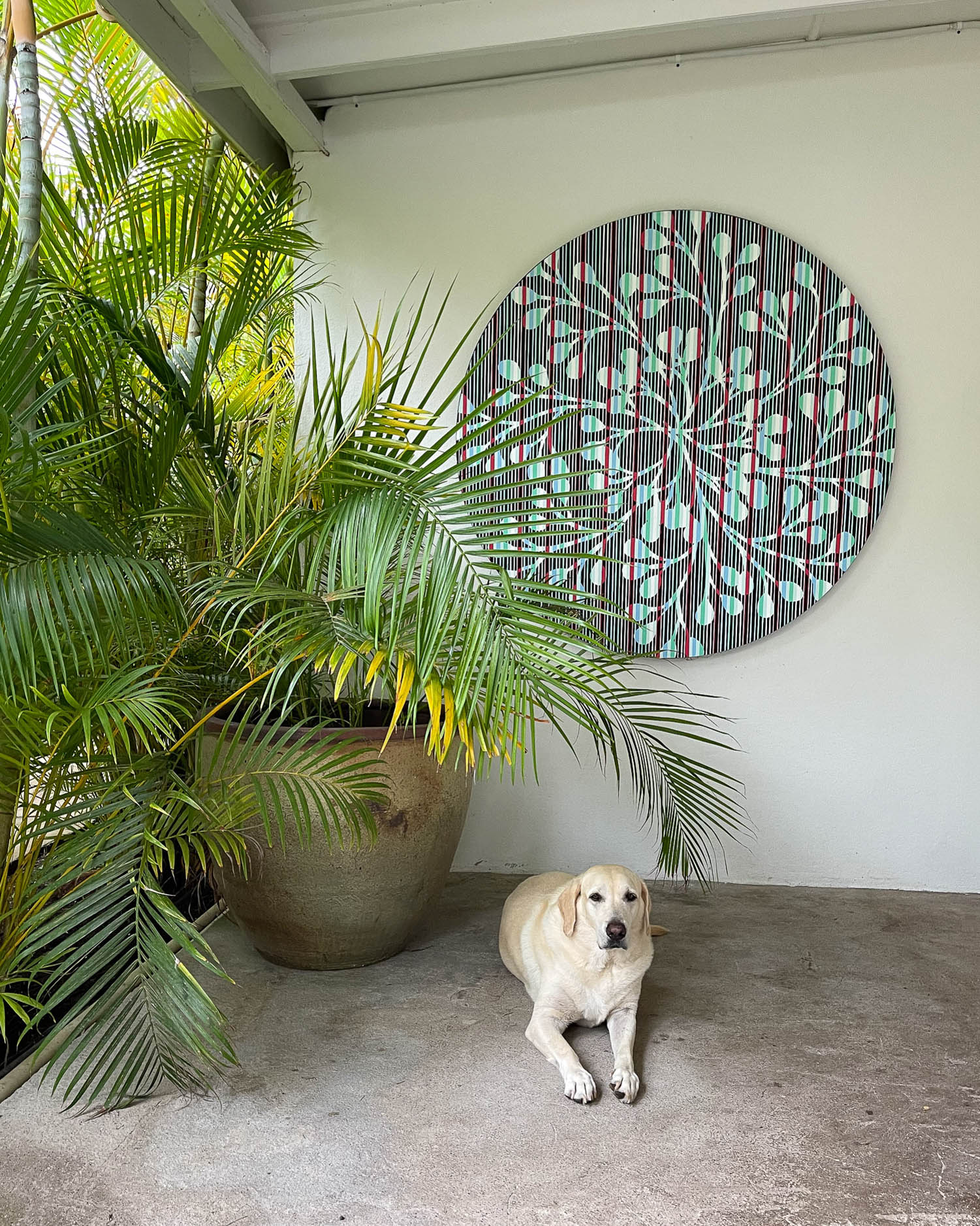 Art by Kirk Mechar at Montpelier Plantation and Beach nevis Photo Heatheronhertravels.com